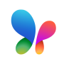 icon MSN para Echo Holi