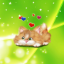 icon Funny Cat Live Wallpaper