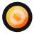 icon Camera FV-5 Lite 5.3.1