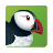 icon Puffin Cloud Browser 10.0.0.51608