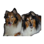 icon Dog Training para Teclast 98 Octa-core