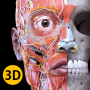icon Anatomy 3D Atlas para Samsung Galaxy Tab 4 7.0