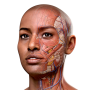 icon Complete Anatomy 2024 para swipe Elite VR