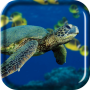 icon Turtle Sea Live Wallpaper