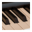 icon Piano Code 1.5