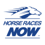 icon Horses Now