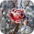 icon Frozen Flowers Live Wallpaper 1.0.7