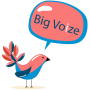 icon Bigvoize