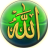 icon Allah Names Live Wallpaper 1.7