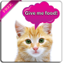icon Cat translator (prank) para zen Admire Dragon
