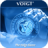 icon The Voigt Game 1.2