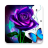 icon ColorMaster 2.13.2