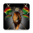 icon Rasta Wallpapers 2.0.0