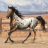 icon Horse Racing 1.61