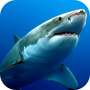 icon Shark Live Wallpaper