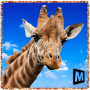 icon Giraffe Simulator