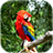 icon Parrot Live Wallpaper 5.1