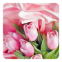 icon Pink Roses Live Wallpaper