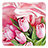 icon Pink Roses Live Wallpaper 3.1