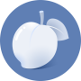 icon Necta Launcher