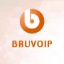 icon Bruvoip